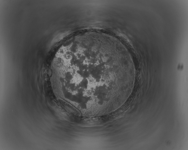 X0000091551159200708241749