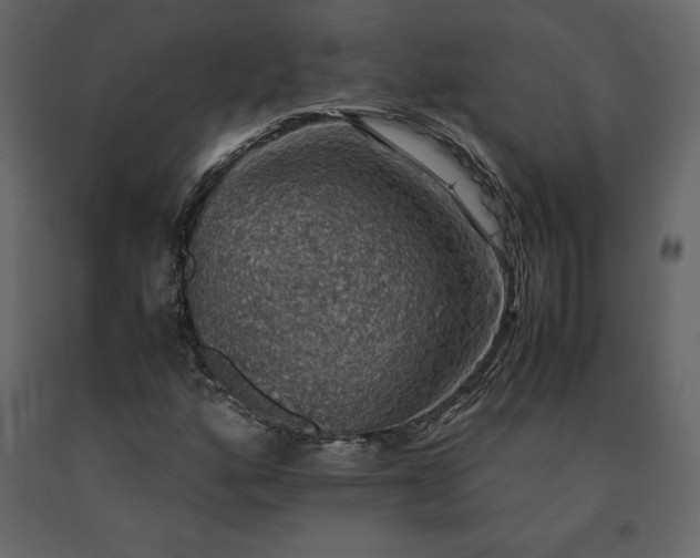 X0000091551160200708241749
