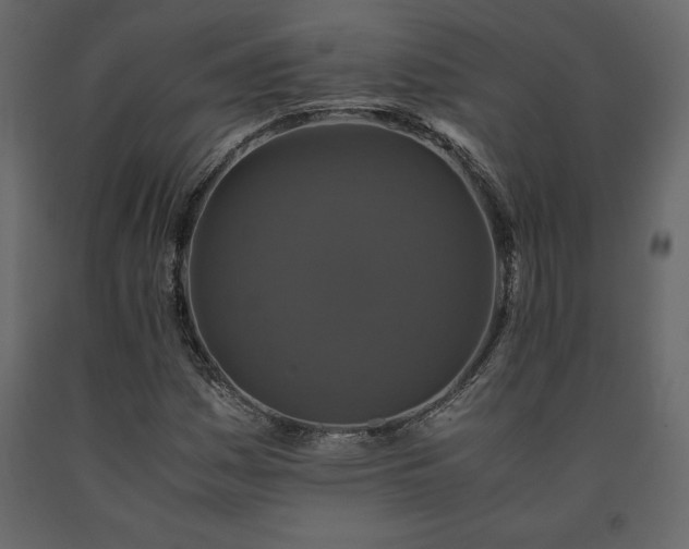 X0000091551161200708241749