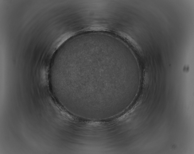 X0000091551162200708241749