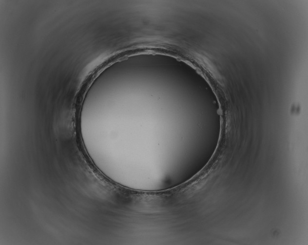 X0000091551164200708241749