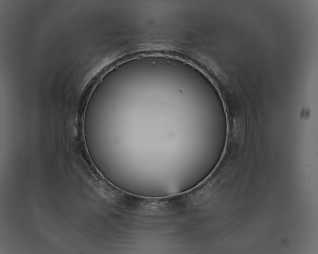 X0000091551165200708241749