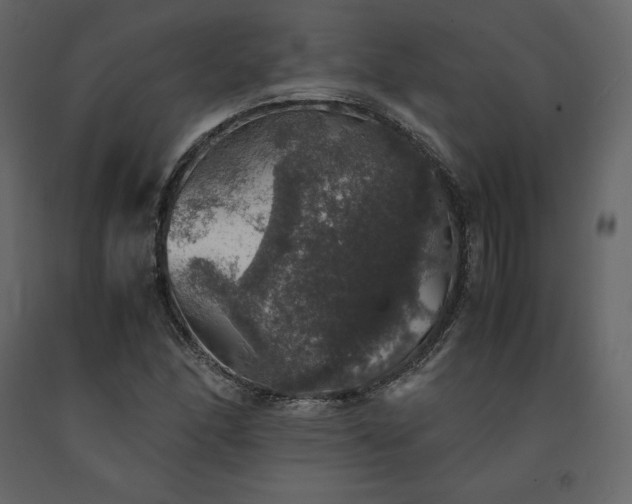 X0000091551166200708241749