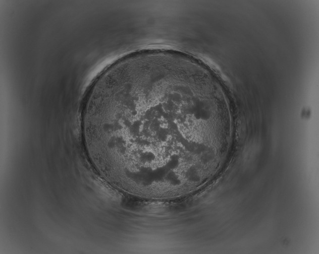 X0000091551167200708241749