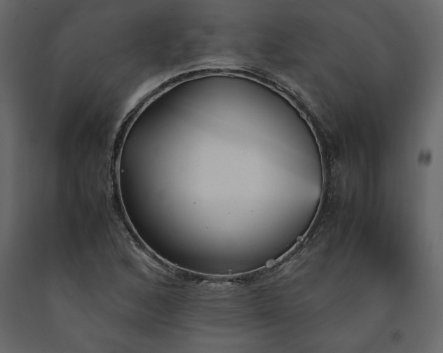 X0000091551168200708241749