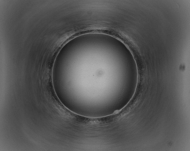 X0000091551169200708241749