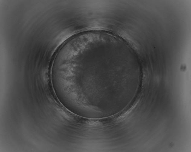 X0000091551170200708241749