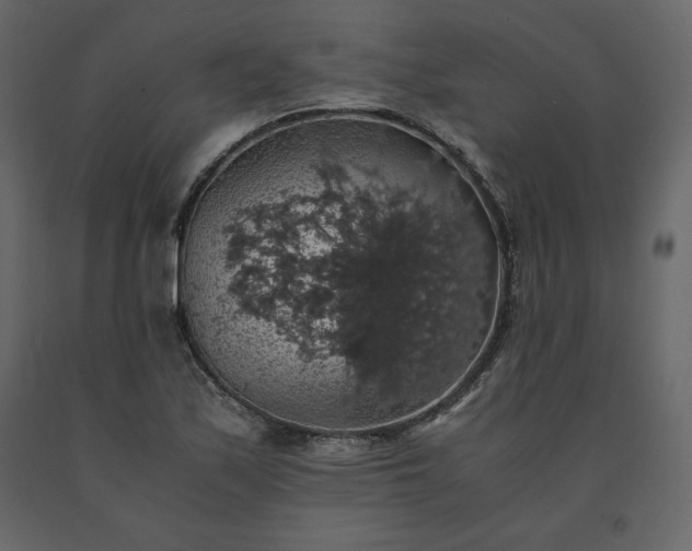 X0000091551171200708241749