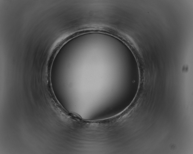 X0000091551172200708241749