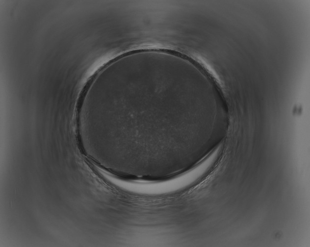 X0000091551173200708241749