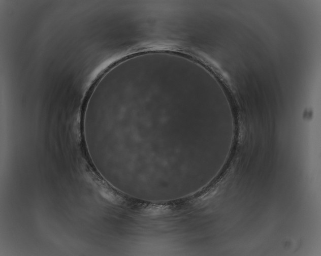 X0000091551174200708241749