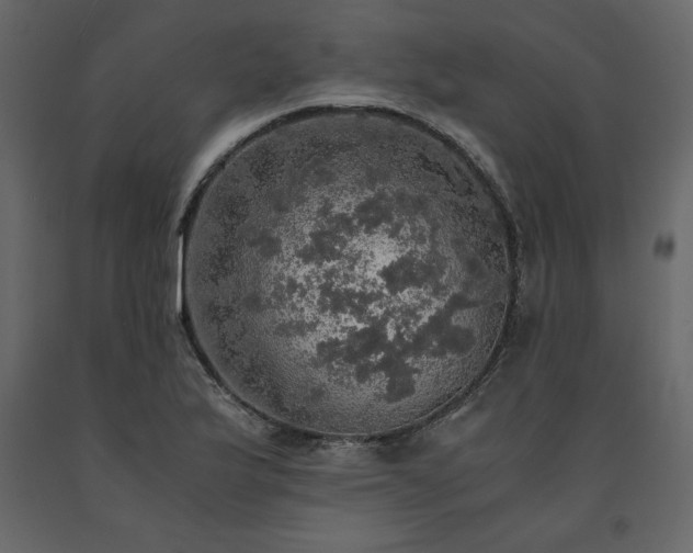 X0000091551175200708241749