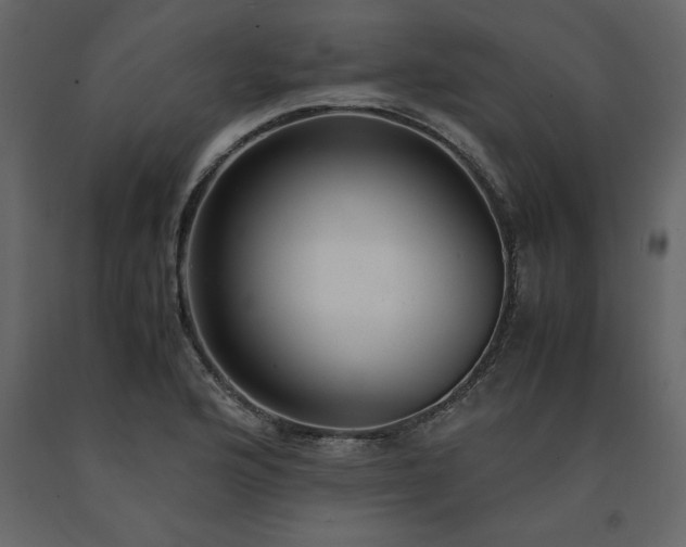 X0000091551176200708241749