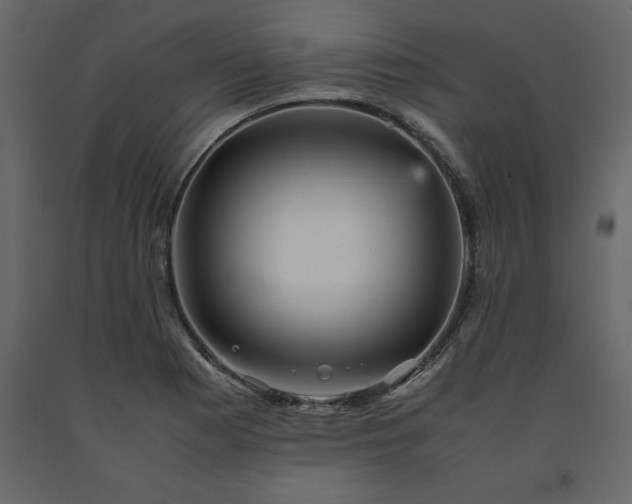 X0000091551177200708241748