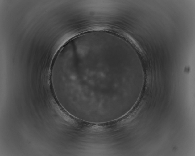X0000091551178200708241748