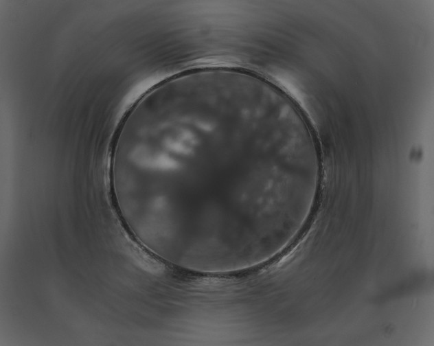 X0000091551179200708241748