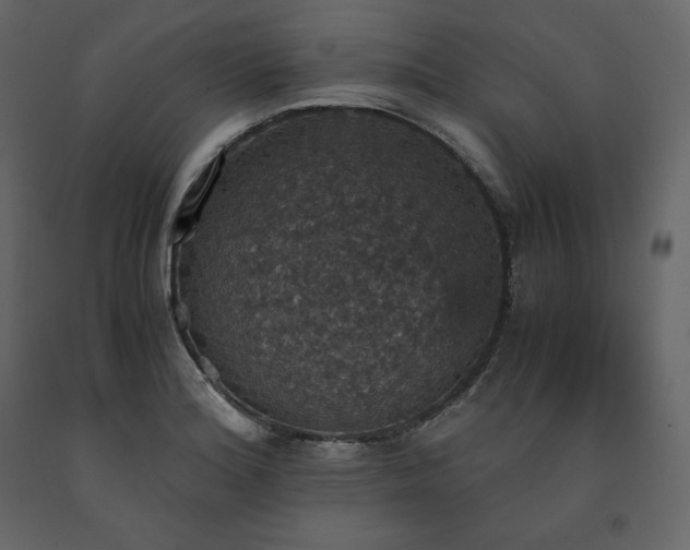 X0000091551180200708241748