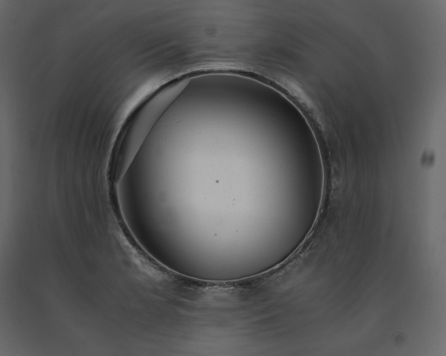 X0000091551181200708241748