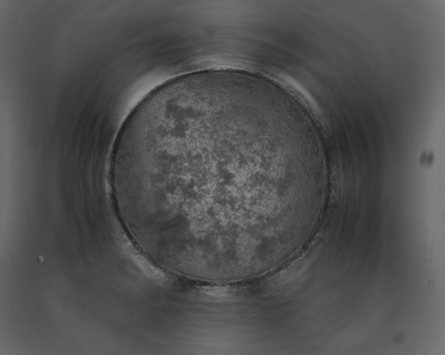 X0000091551182200708241748