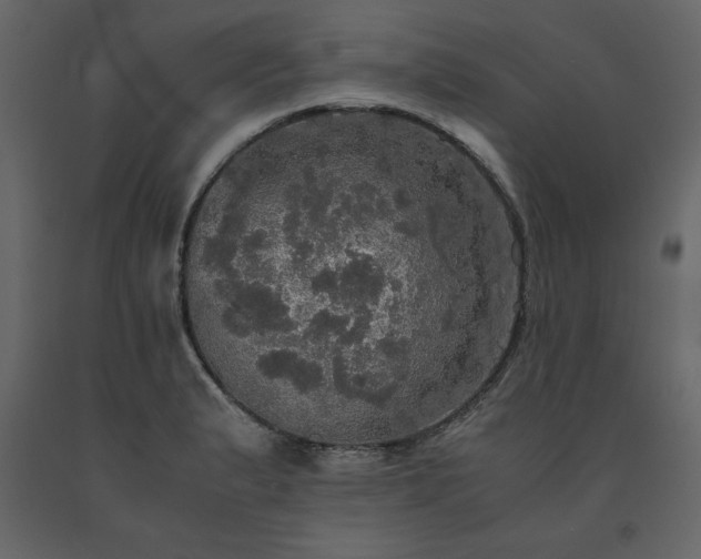 X0000091551183200708241748