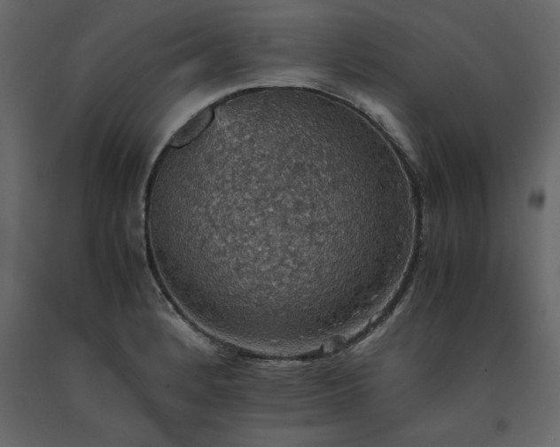 X0000091551184200708241748