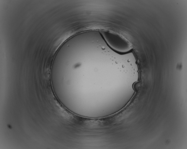 X0000091551185200708241748