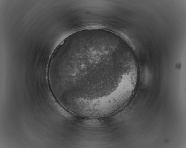 X0000091551186200708241748