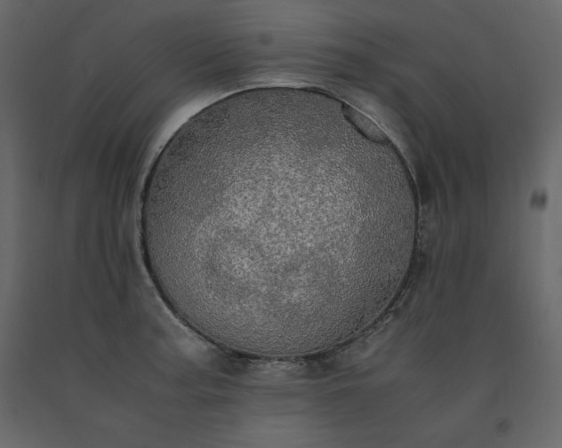 X0000091551187200708241748