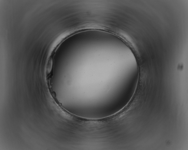 X0000091551188200708241748