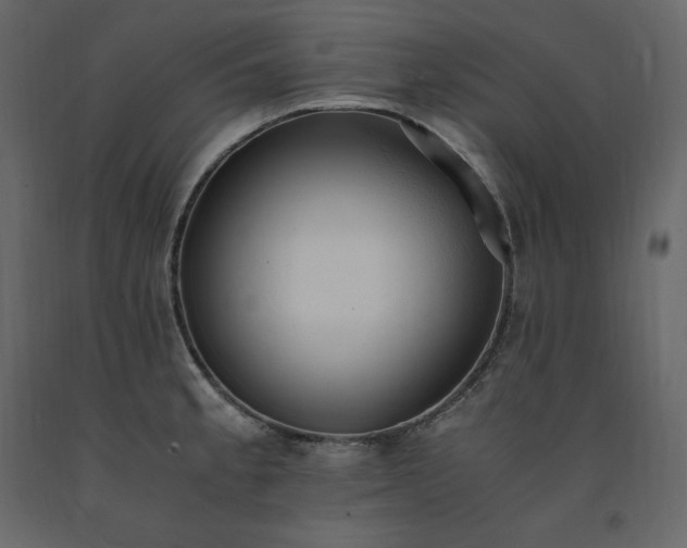 X0000091551189200708241748