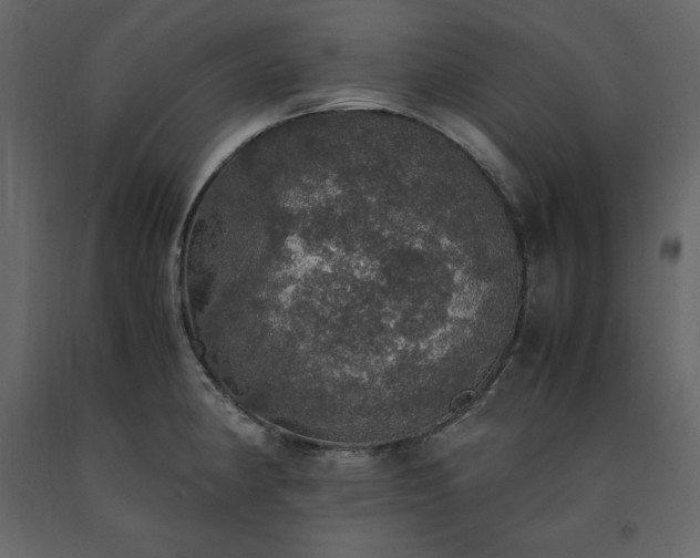 X0000091551190200708241748