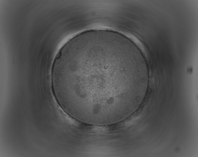 X0000091551191200708241748
