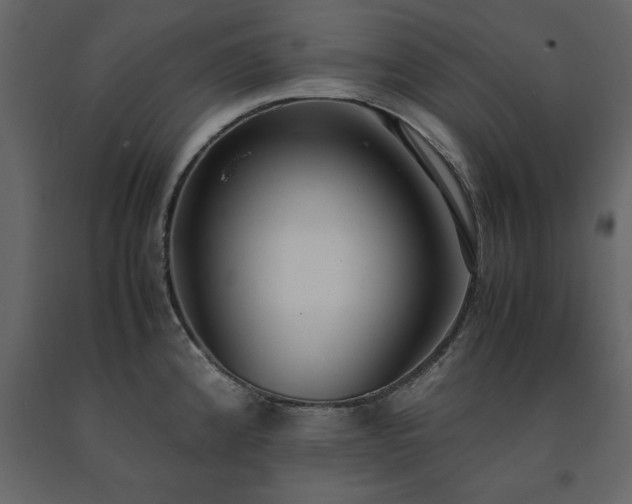 X0000091551192200708241748