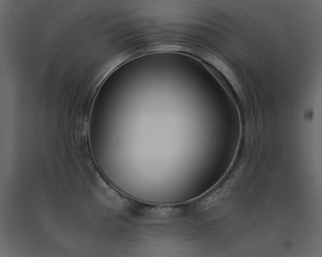X0000091551193200708241748