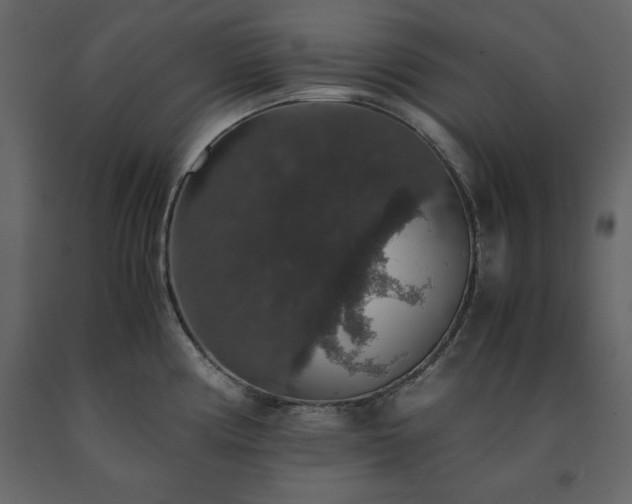 X0000091551194200708241748