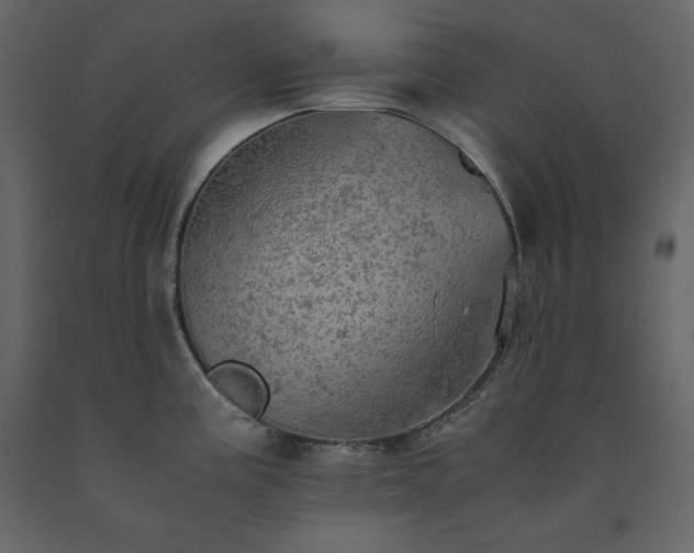 X0000091551195200708241748