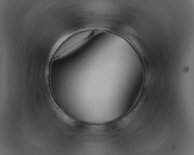 X0000091551196200708241748