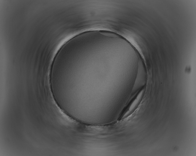 X0000091551197200708241748