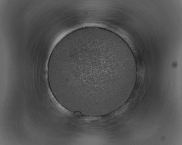 X0000091551199200708241748