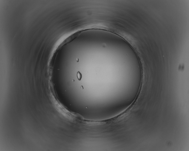 X0000091551200200708241748