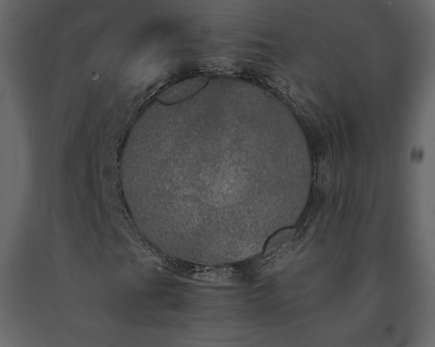 X0000091551201200708241747