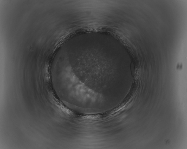 X0000091551202200708241747
