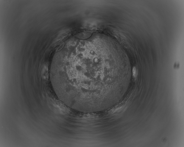 X0000091551203200708241747