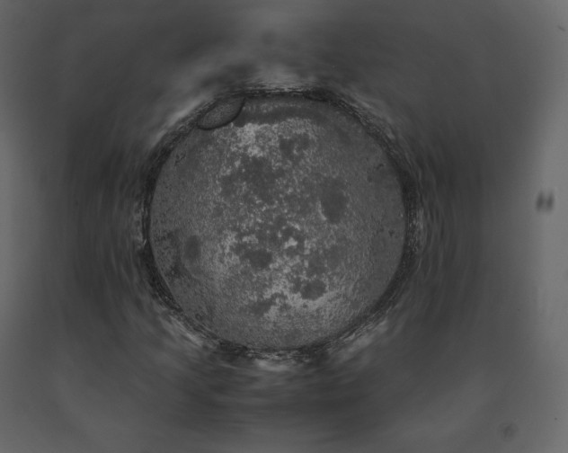 X0000091551205200708241747