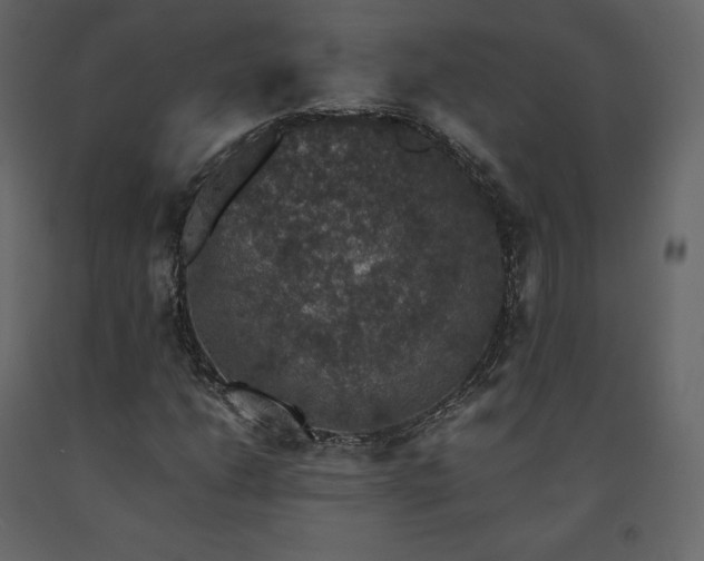 X0000091551206200708241747