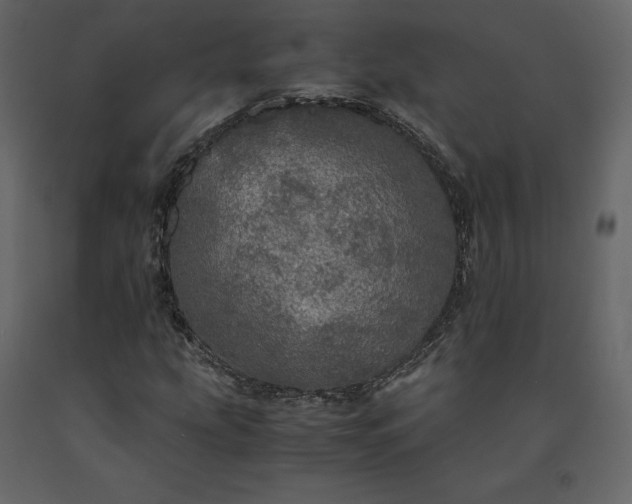 X0000091551207200708241748
