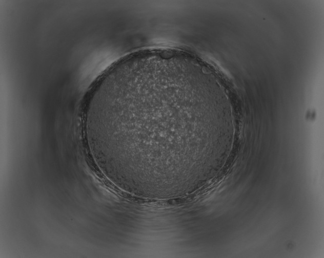 X0000091551208200708241748