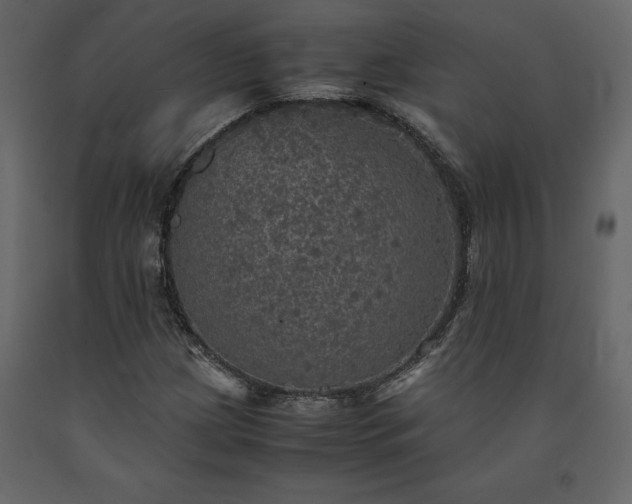 X0000091551209200708241748
