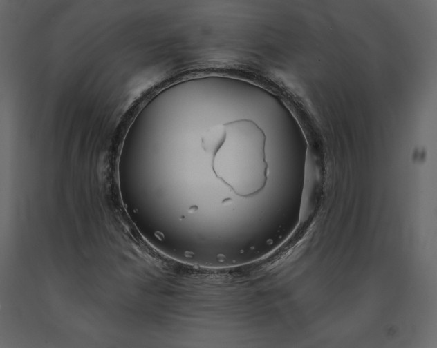 X0000091551210200708241748