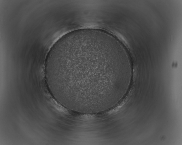 X0000091551212200708241748